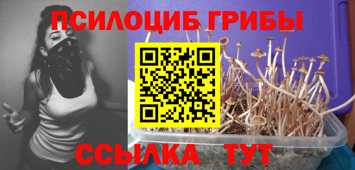 Геленджик  Псилоцибиновые грибы Magic Shrooms  Вход с VPN 